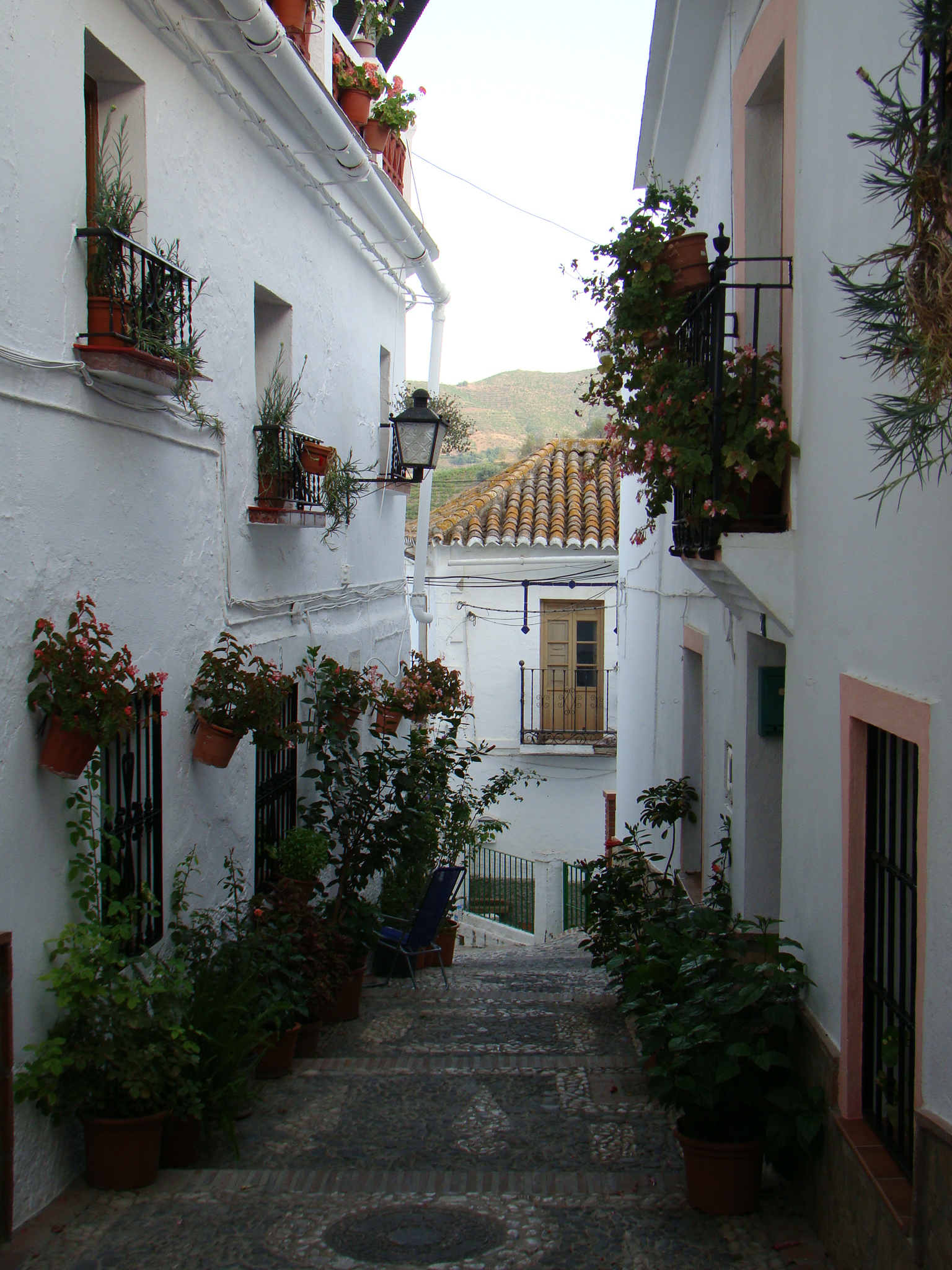 DSC06108