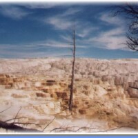 26.Mammoth Hotsprings Upper Terrace