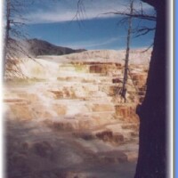 27.Canary Springs