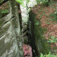 DSCN0061