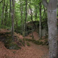 DSCN0064
