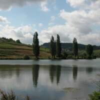 DSCN0090