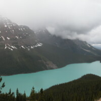 DSCN0105
