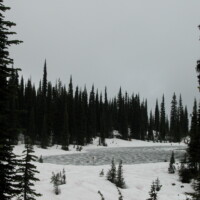 DSCN0163