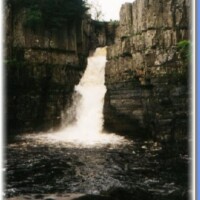 medium_High Force
