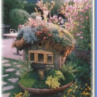 medium_Vogelhuisje-in-cambria