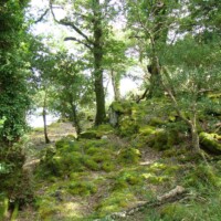 DSC00088