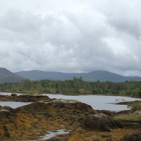 DSC00183