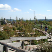 DSC00806
