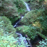 DSC00827