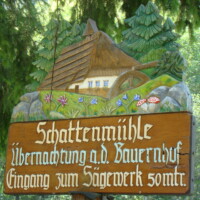DSC00829