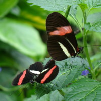 DSC00860