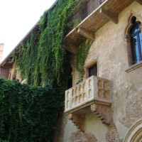 DSC00976