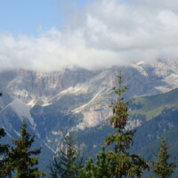 DSC01204