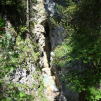 DSC01300