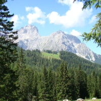 DSC01337