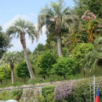 DSC01885