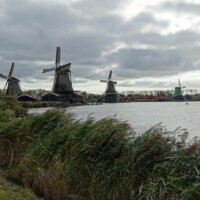 DSC03753 DSC03753