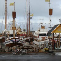 DSC03883