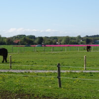 DSC04138 DSC04138