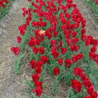 DSC04160 DSC04160