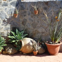 Spanje - Andalusië 2019