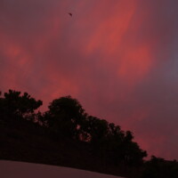 Spanje - Andalusië 2019