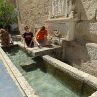 Spanje - Andalusië 2019