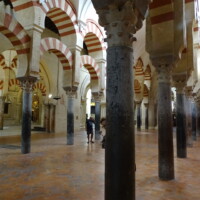Spanje - Andalusië 2019
