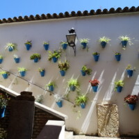 Spanje - Andalusië 2019
