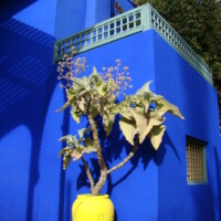 Marrakesh