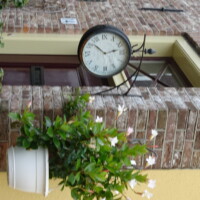 DSC05440 DSC05440