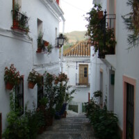 DSC06108