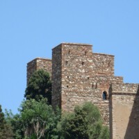 DSC06591