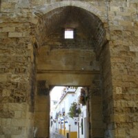 DSC06655
