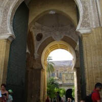DSC06665