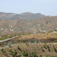 DSC06909