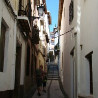 DSC06954