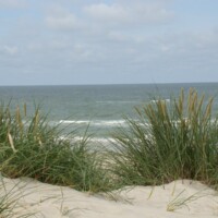 DSC09125