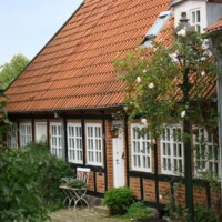 DSC09517
