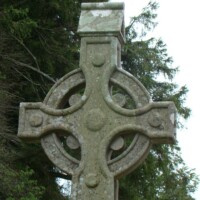 DSC09520