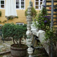 DSC09739