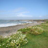 DSC09775