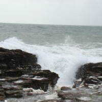 DSC09802