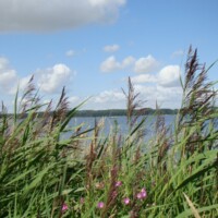 DSC09847
