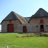 DSC09884