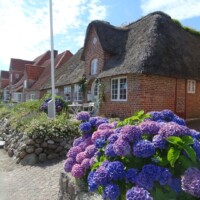 Denemarken (413)