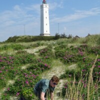 Denemarken (594)