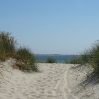 Denemarken (892)