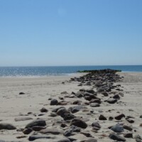 Denemarken (909)